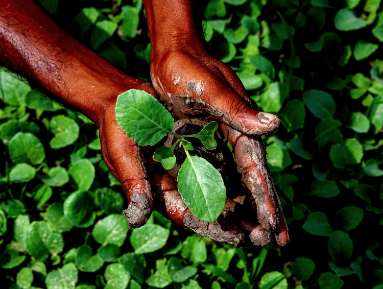 agri-business loan